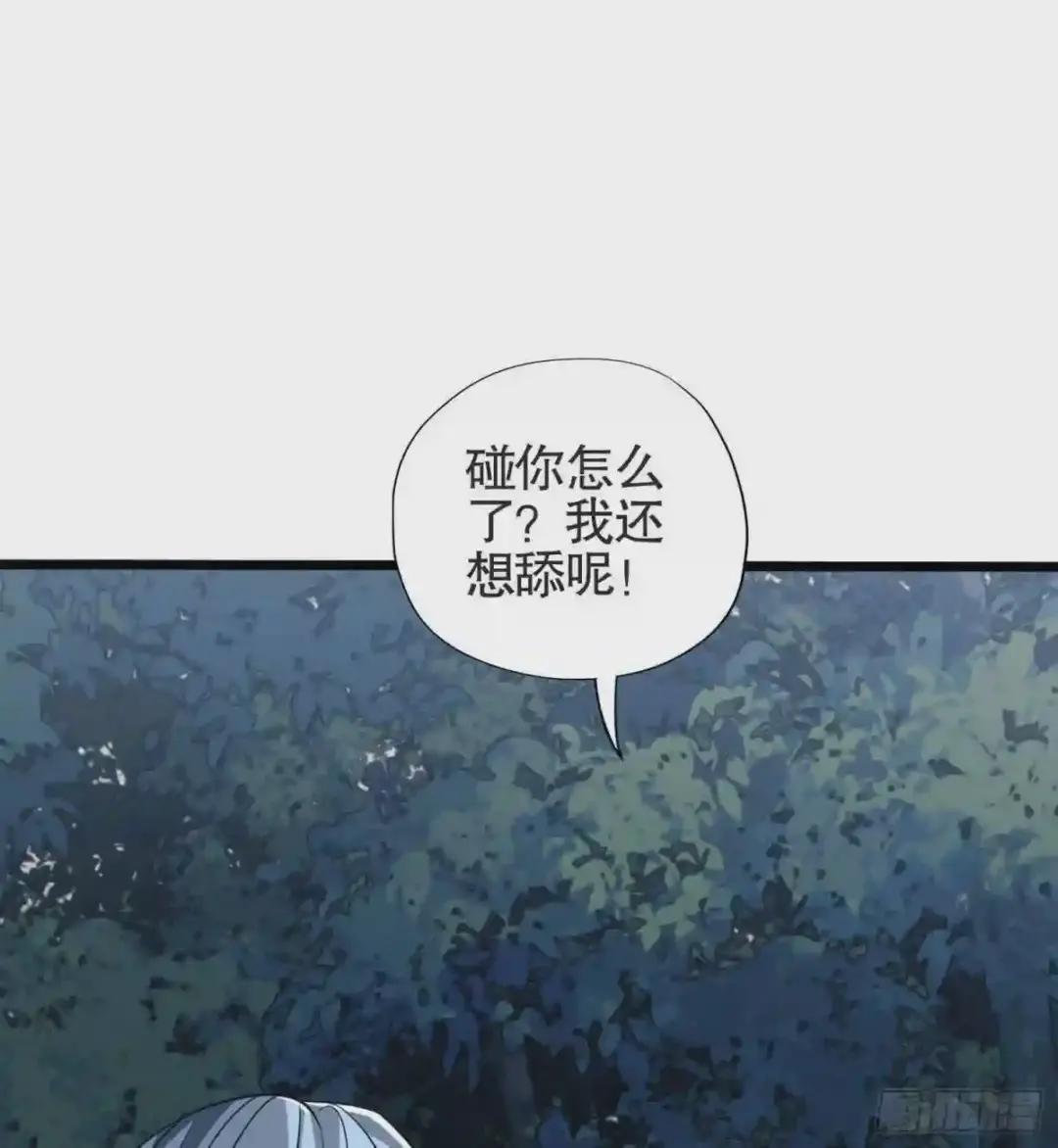 25 猪撞树上了 第37页