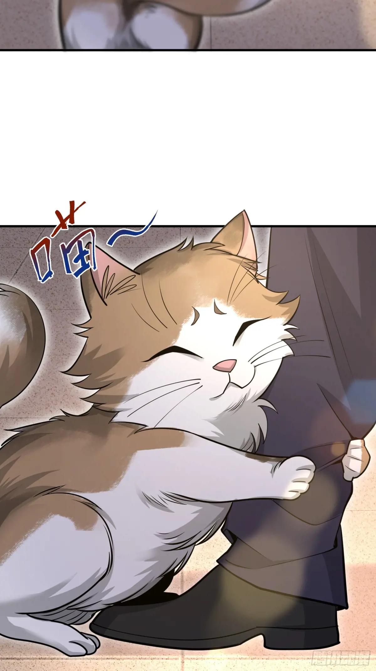 512 赠送露娜 第17页