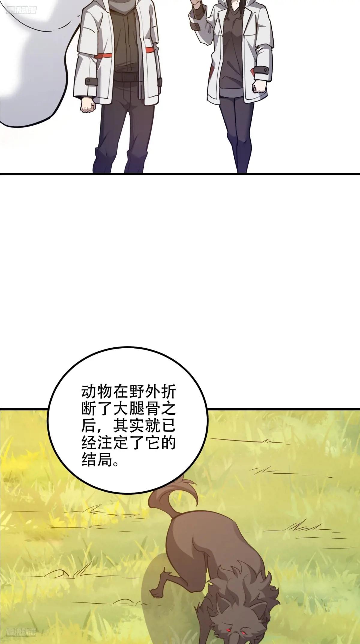 551 桃树停止生长 第3页