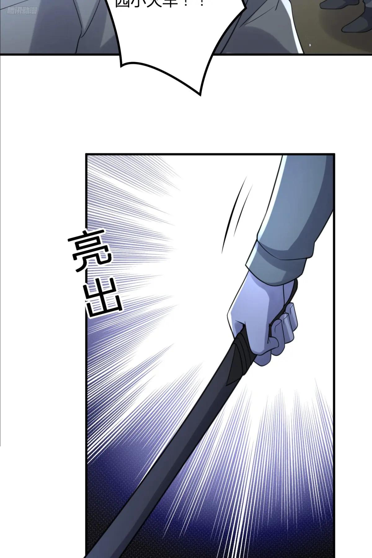 293 游园小火车 第6页