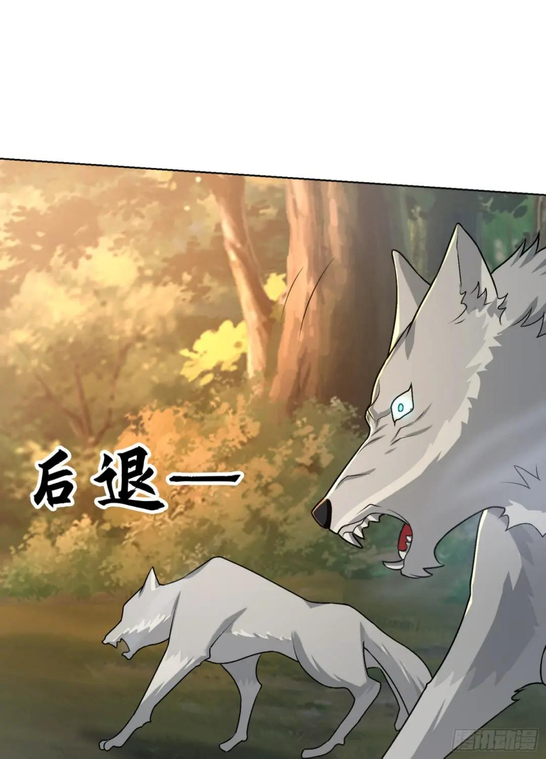 108 狼群成精了 第65页