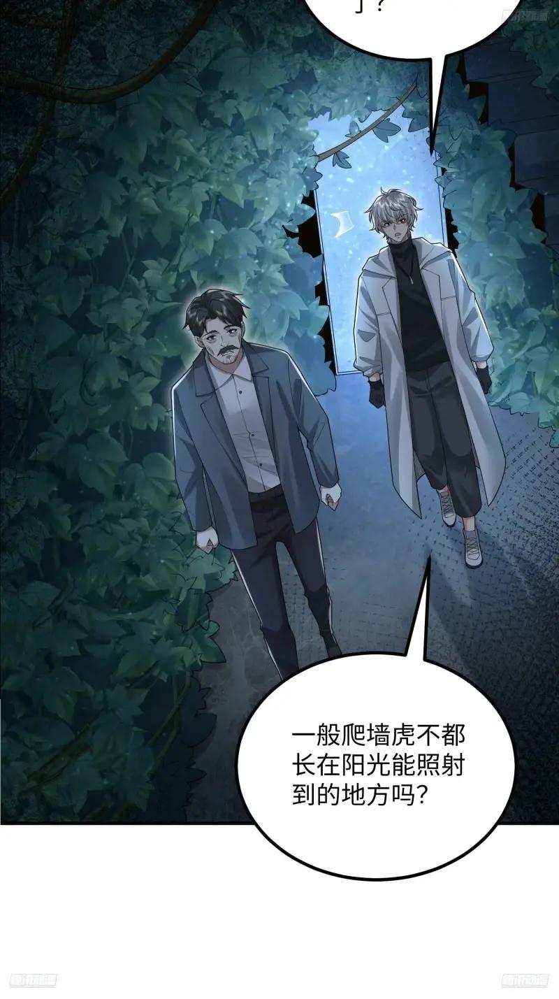 318 调查爬墙虎 第12页