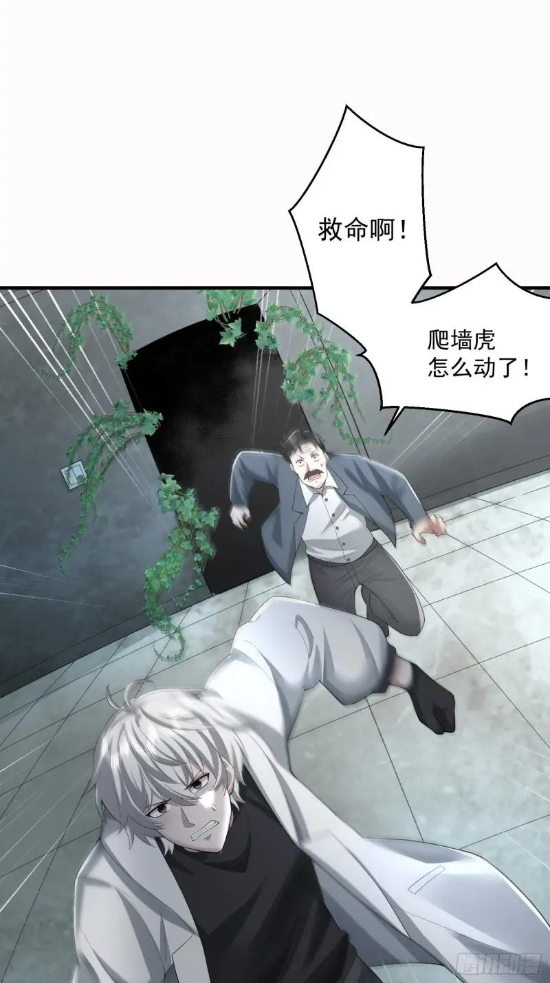 318 调查爬墙虎 第42页