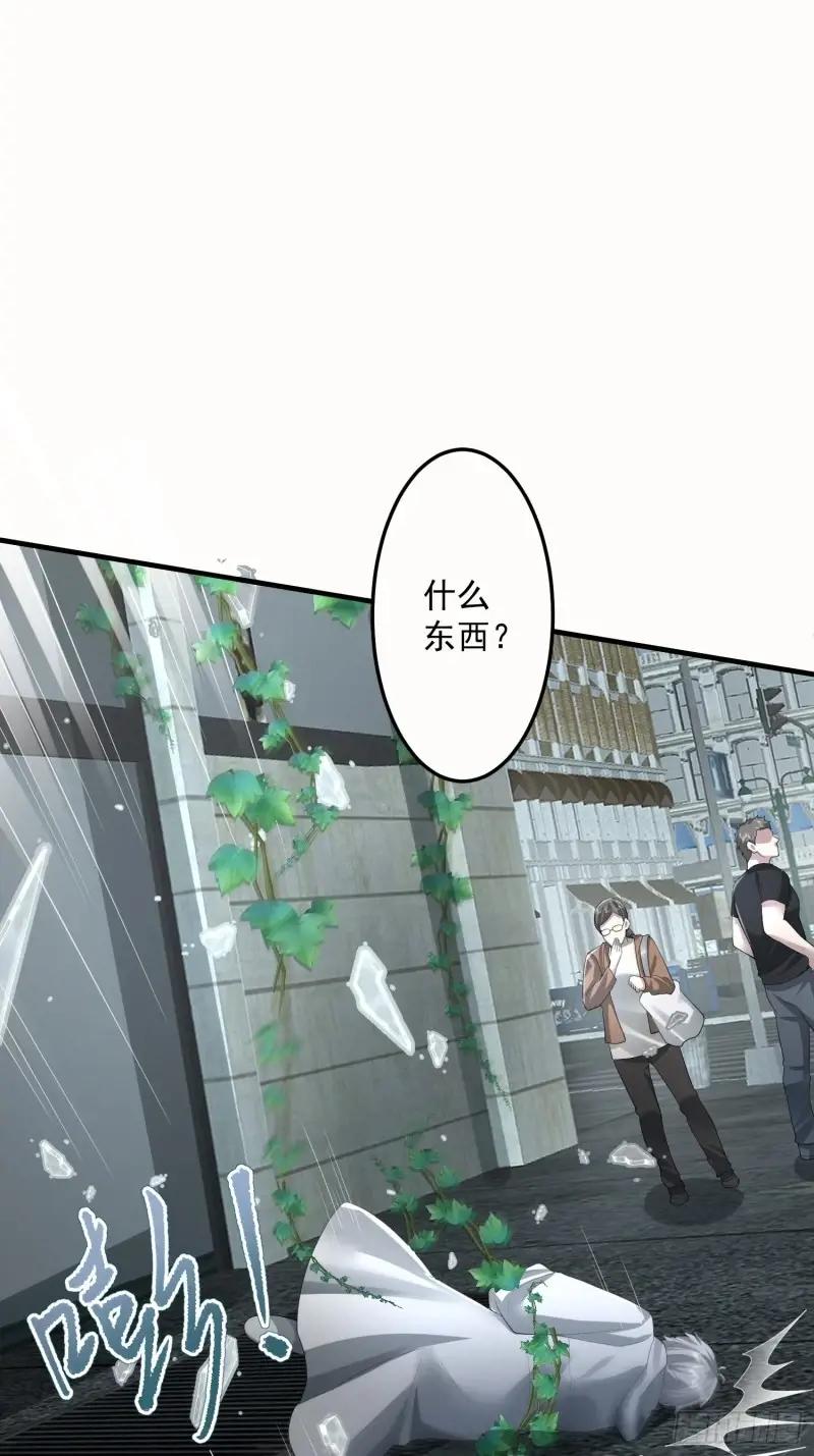318 调查爬墙虎 第47页