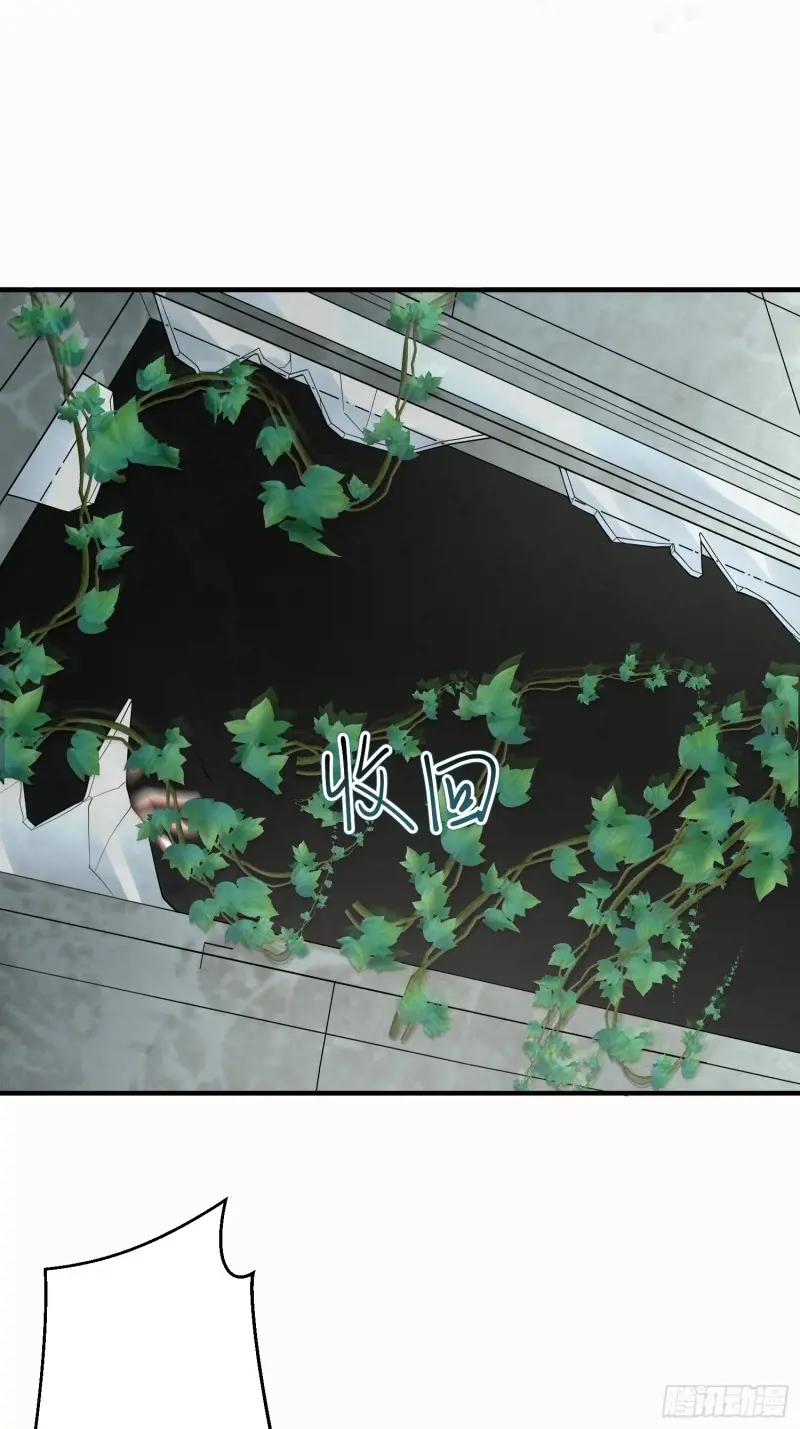 318 调查爬墙虎 第49页