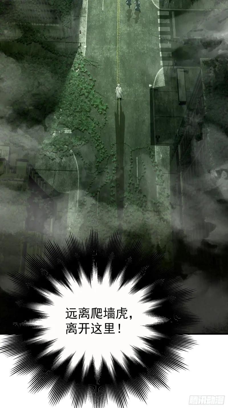 318 调查爬墙虎 第56页