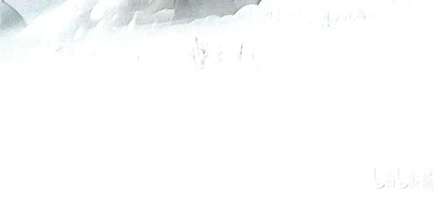 105 困兽 第39页