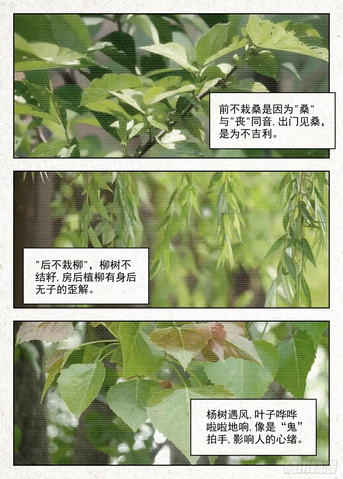 有桑 第2页