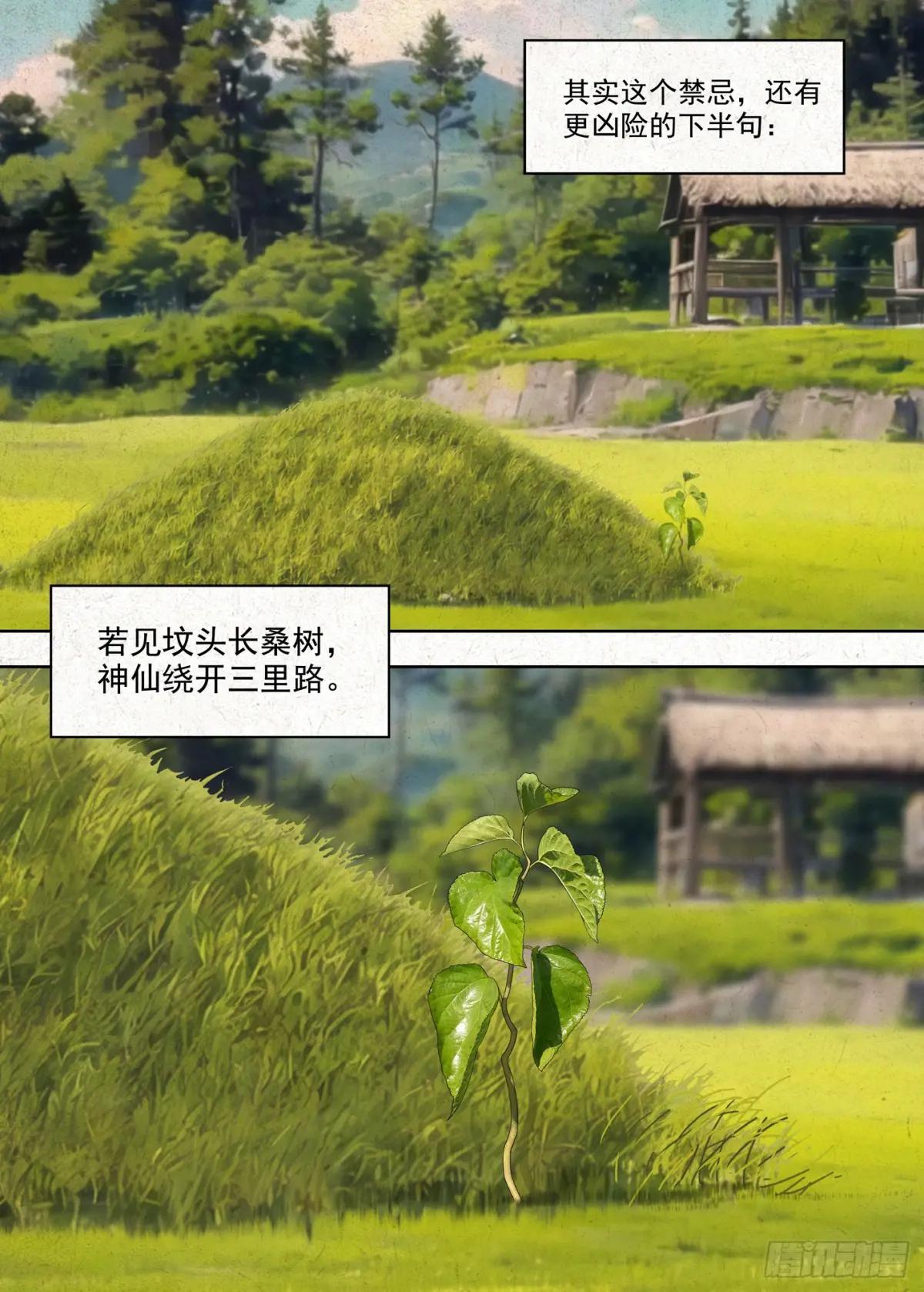 有桑 第3页