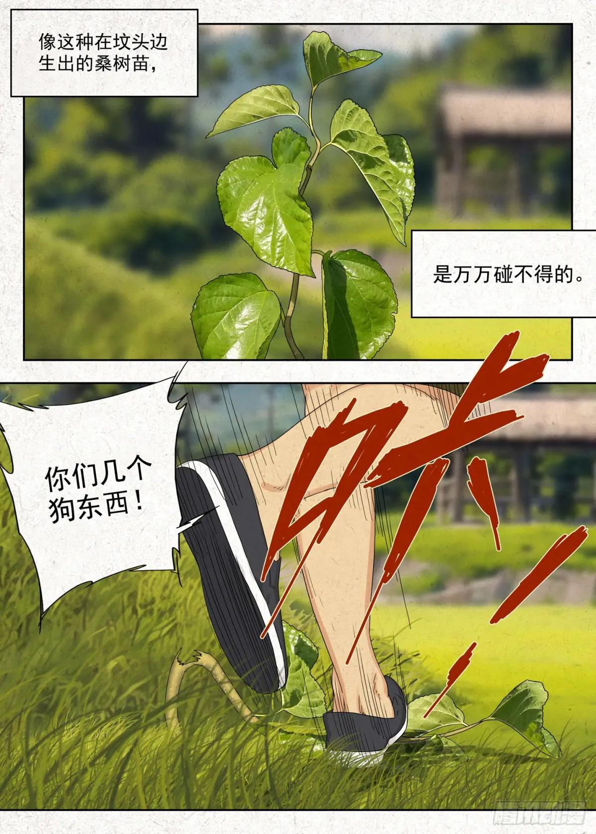 有桑 第4页