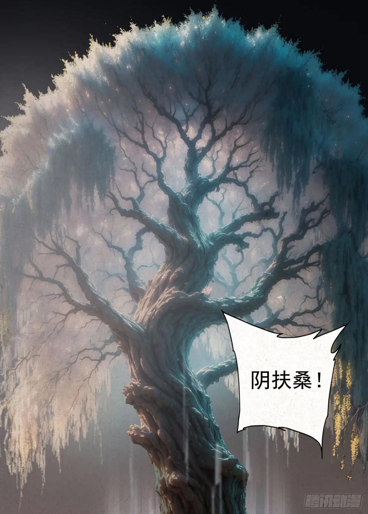 阴扶桑 第3页