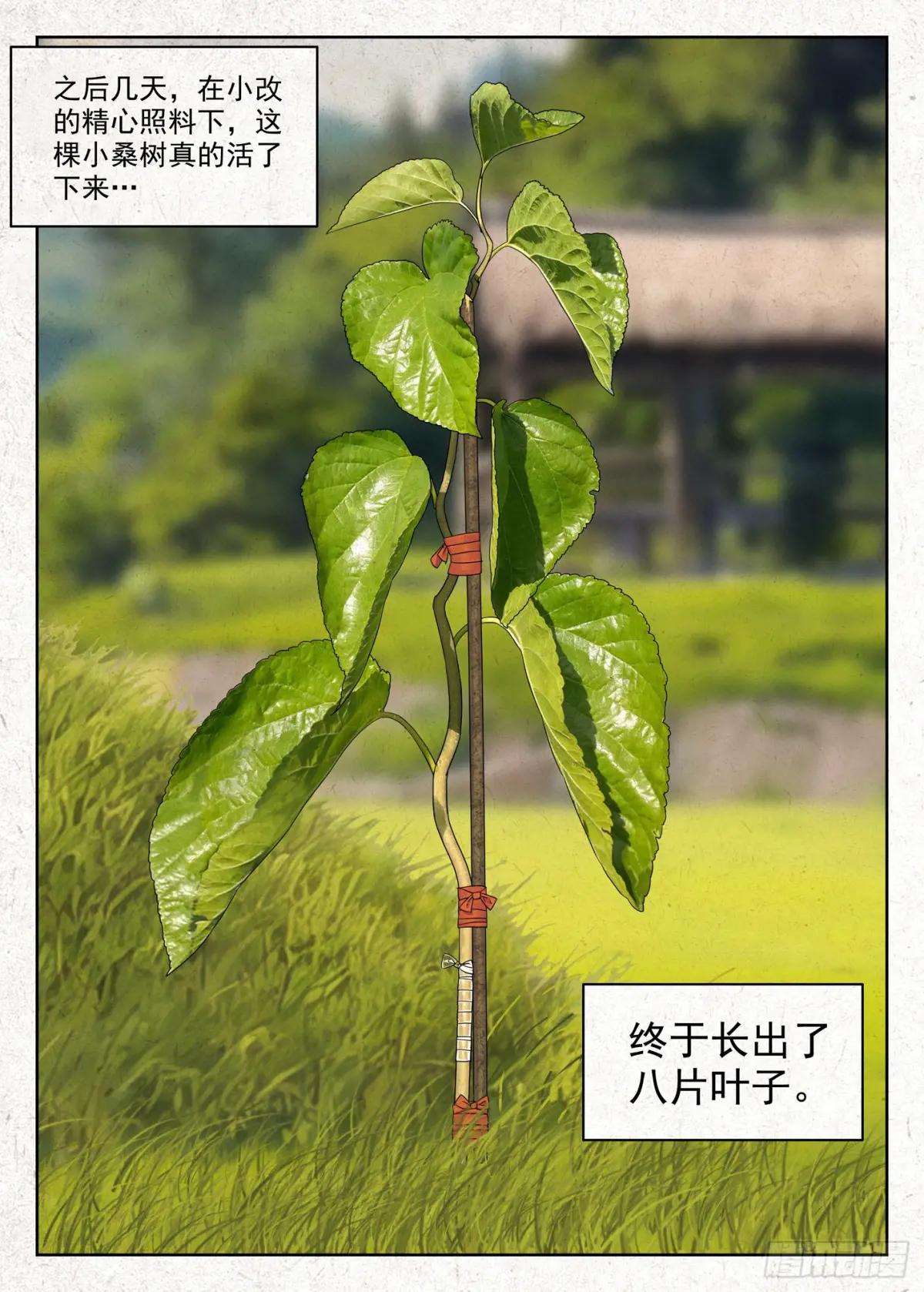 小改优秀！ 第18页