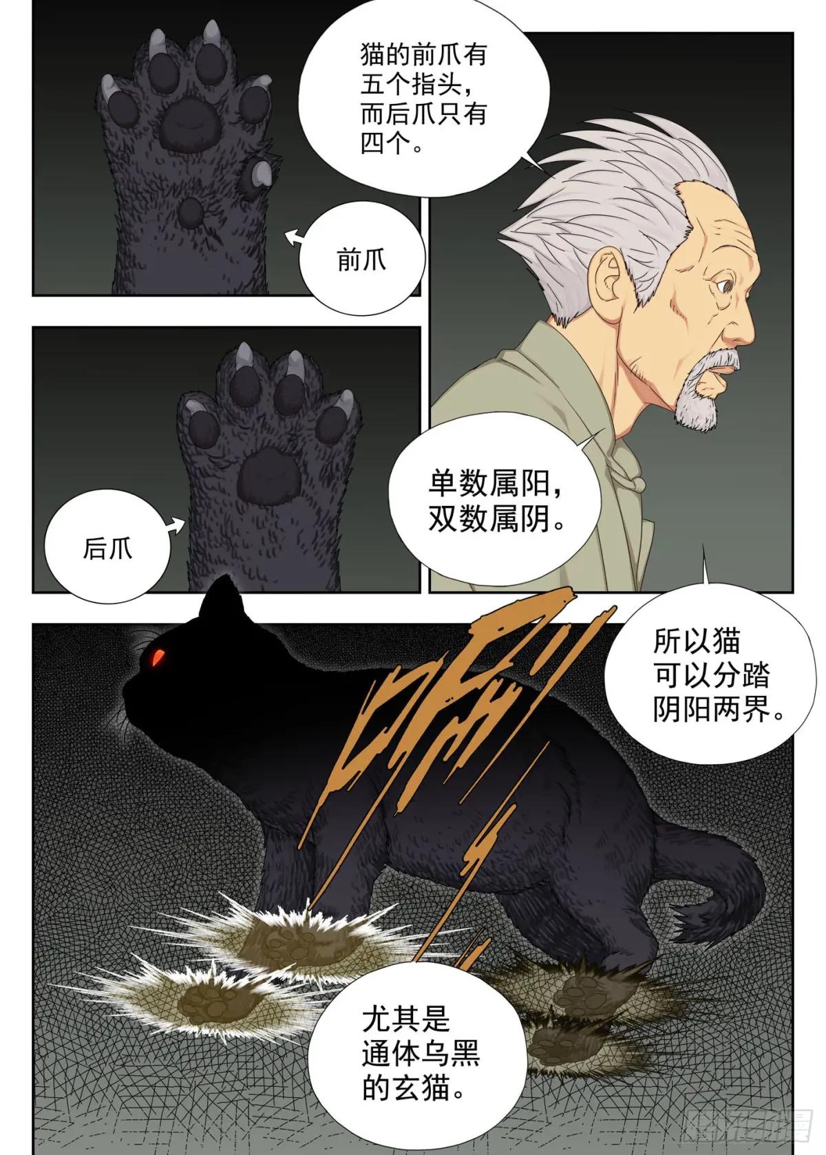 玄猫 第5页