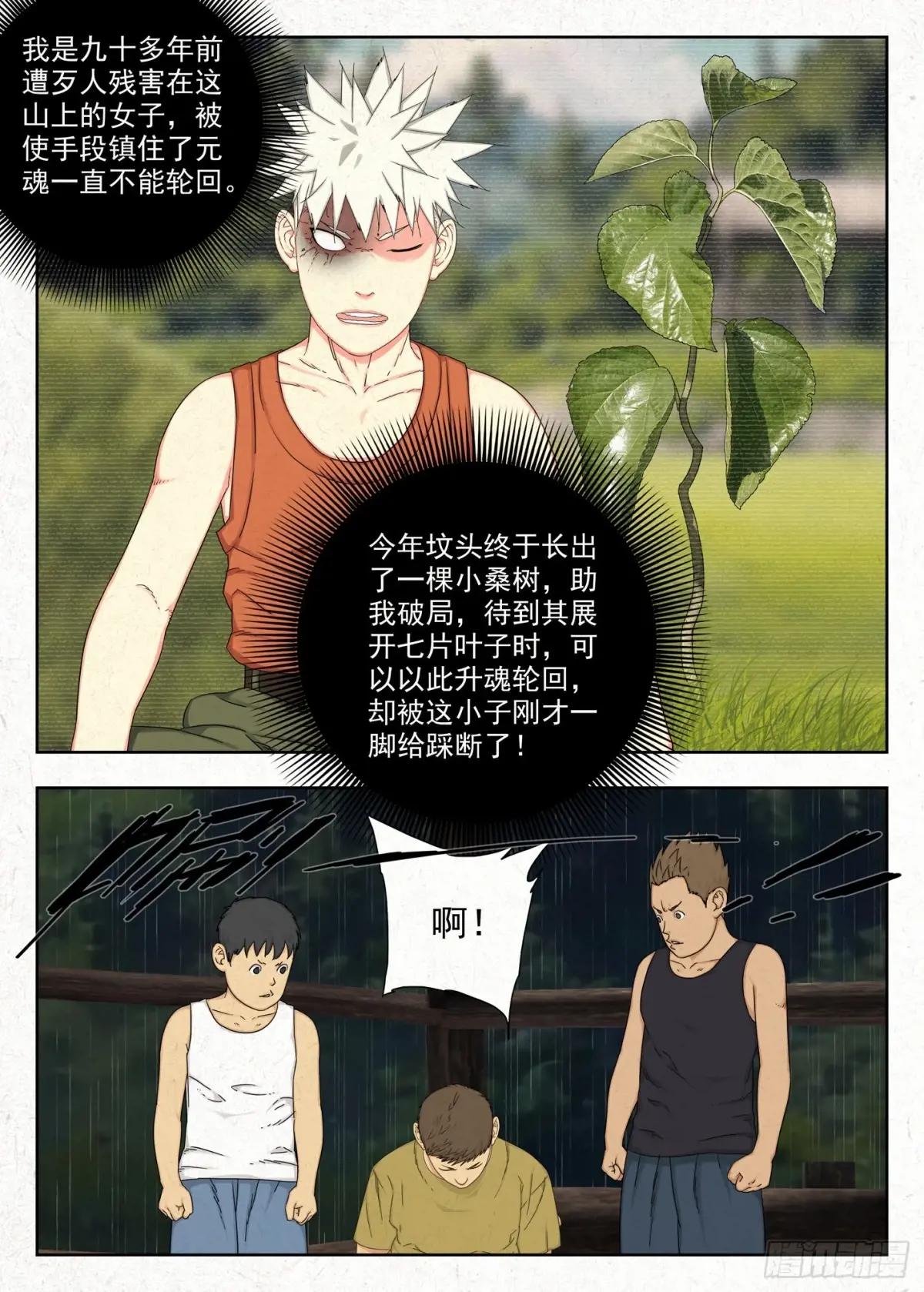 刘黑七 第13页