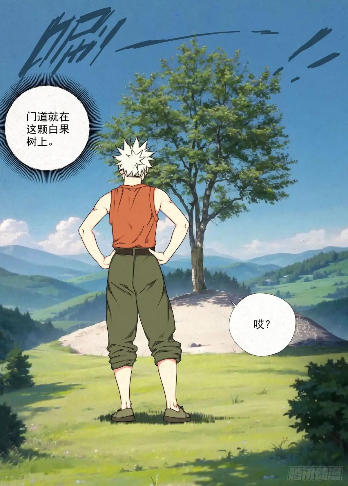 白果树 第11页