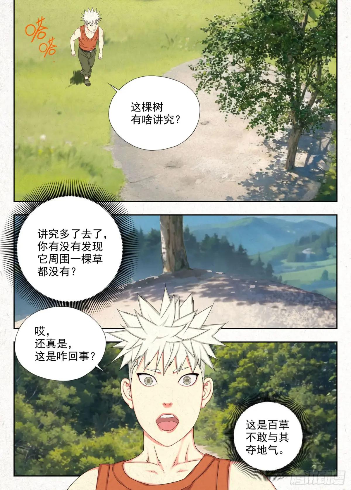 白果树 第12页