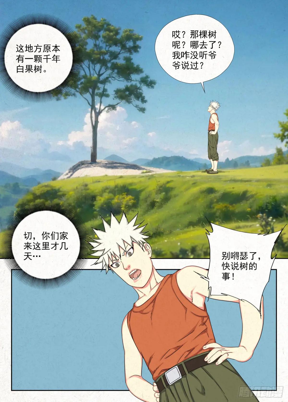 白果树 第13页