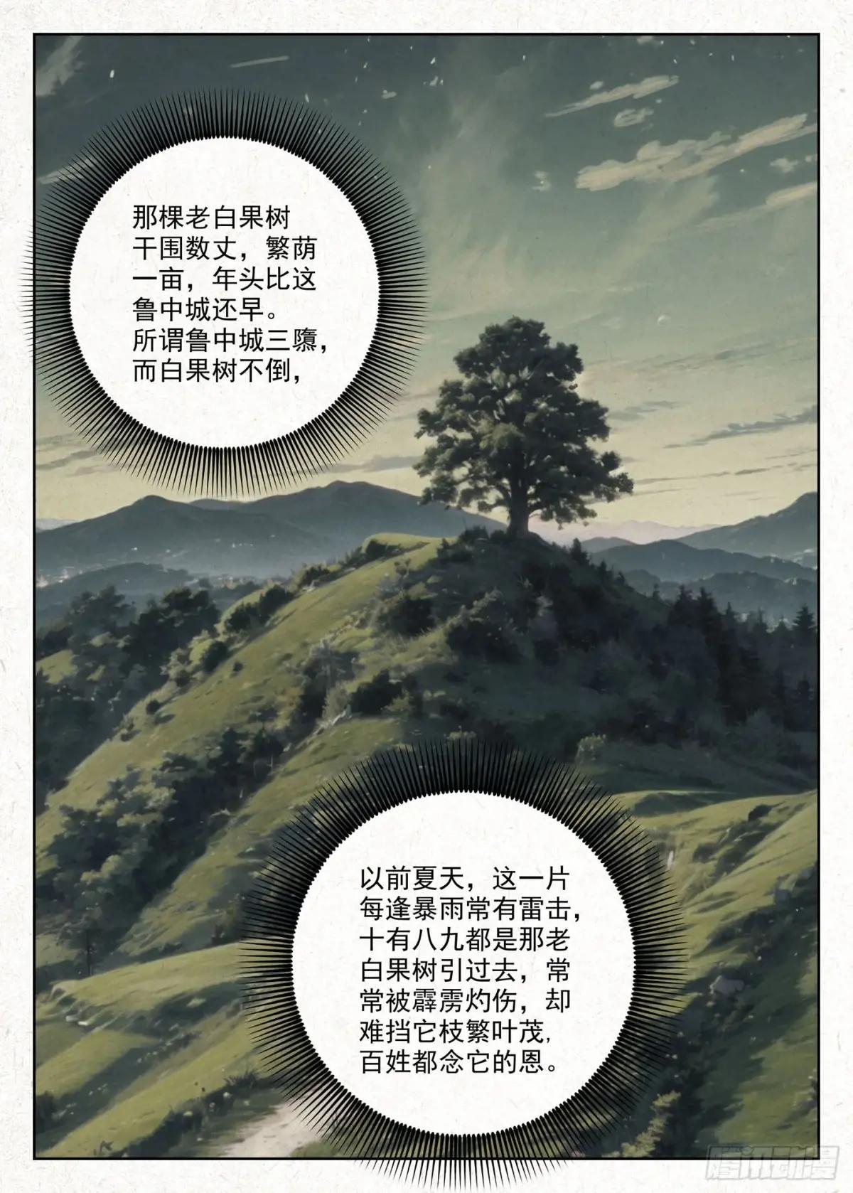 白果树 第14页