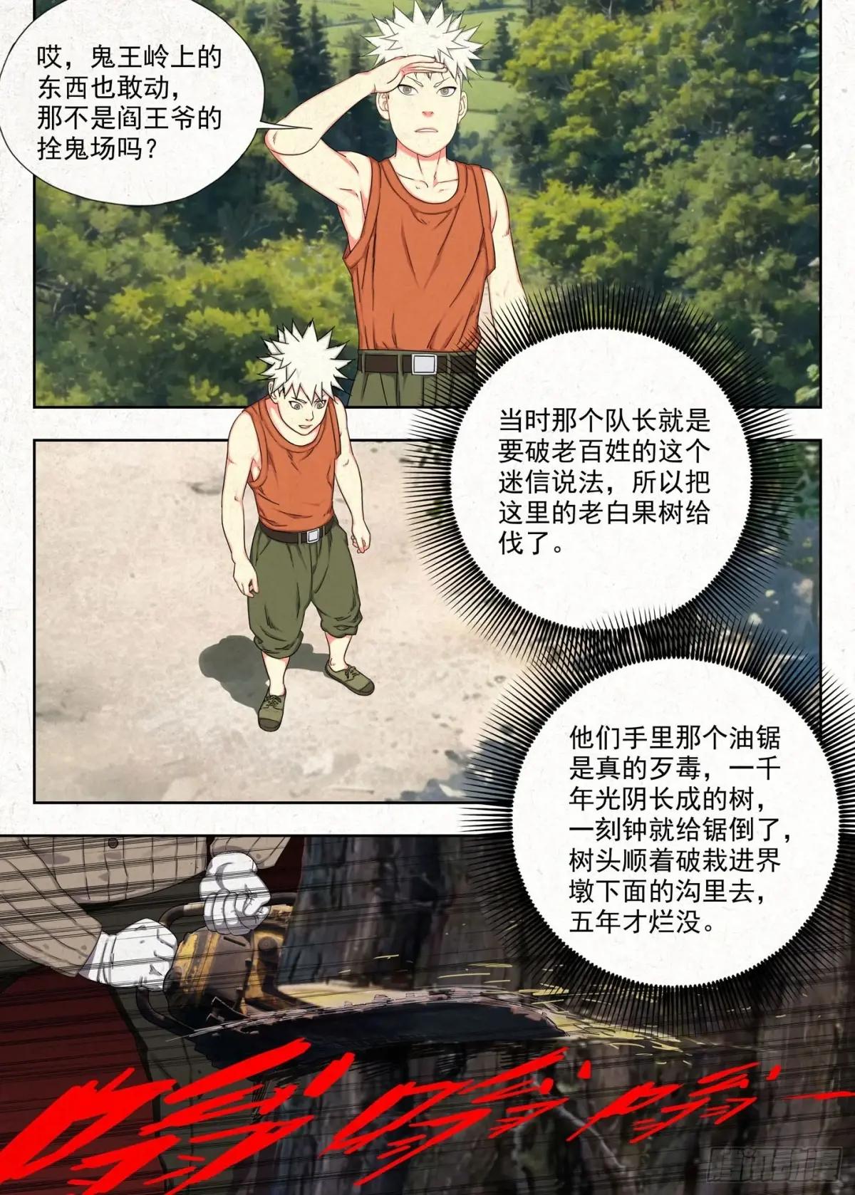 白果树 第16页