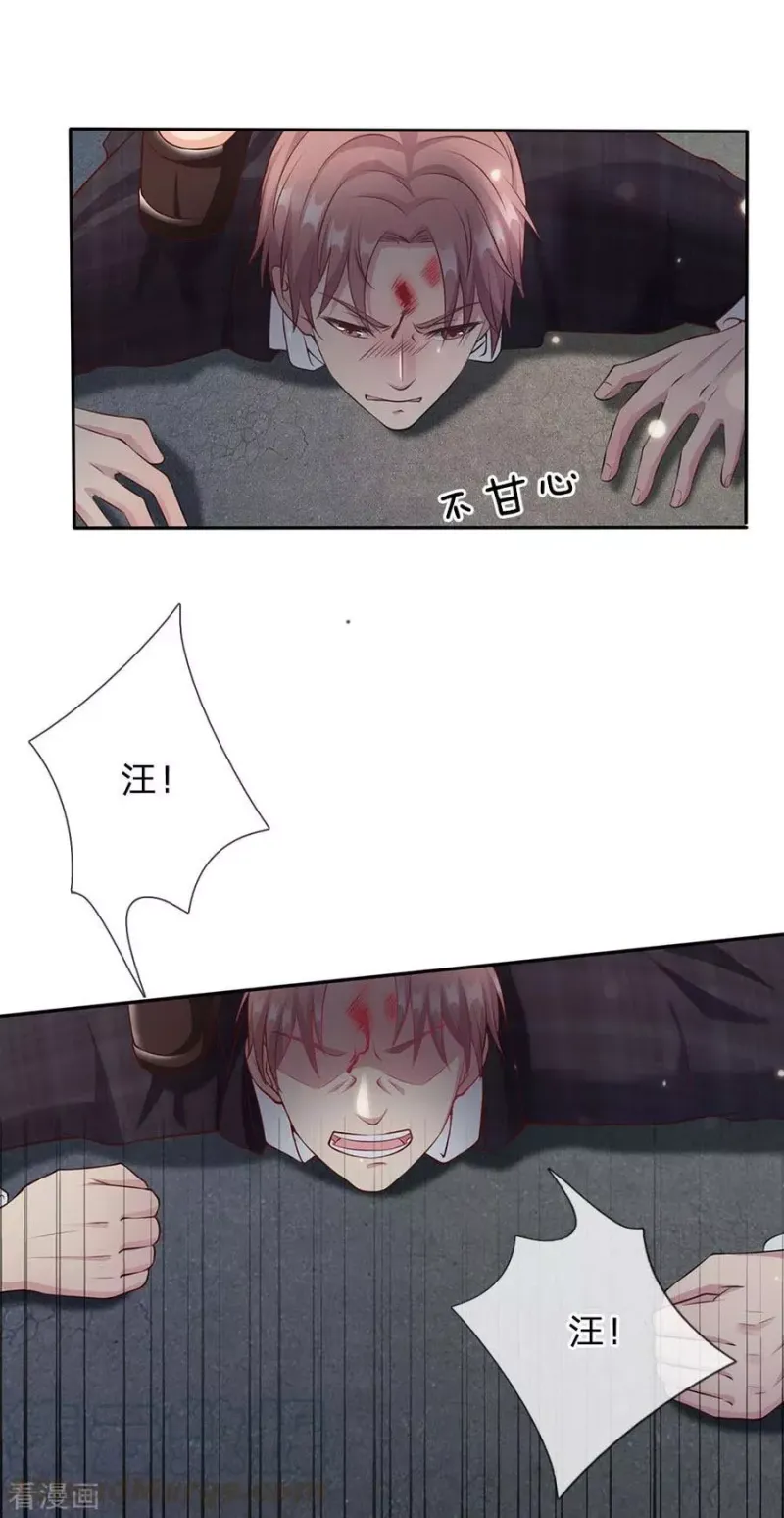 第17话 前世杨威，今日为狗 第15页