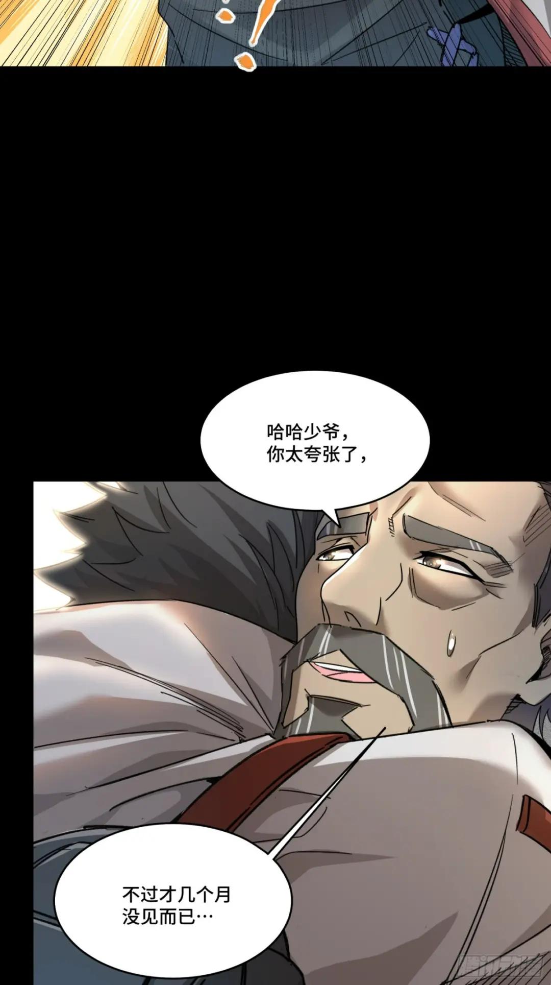 082 又是一个天阶 第11页