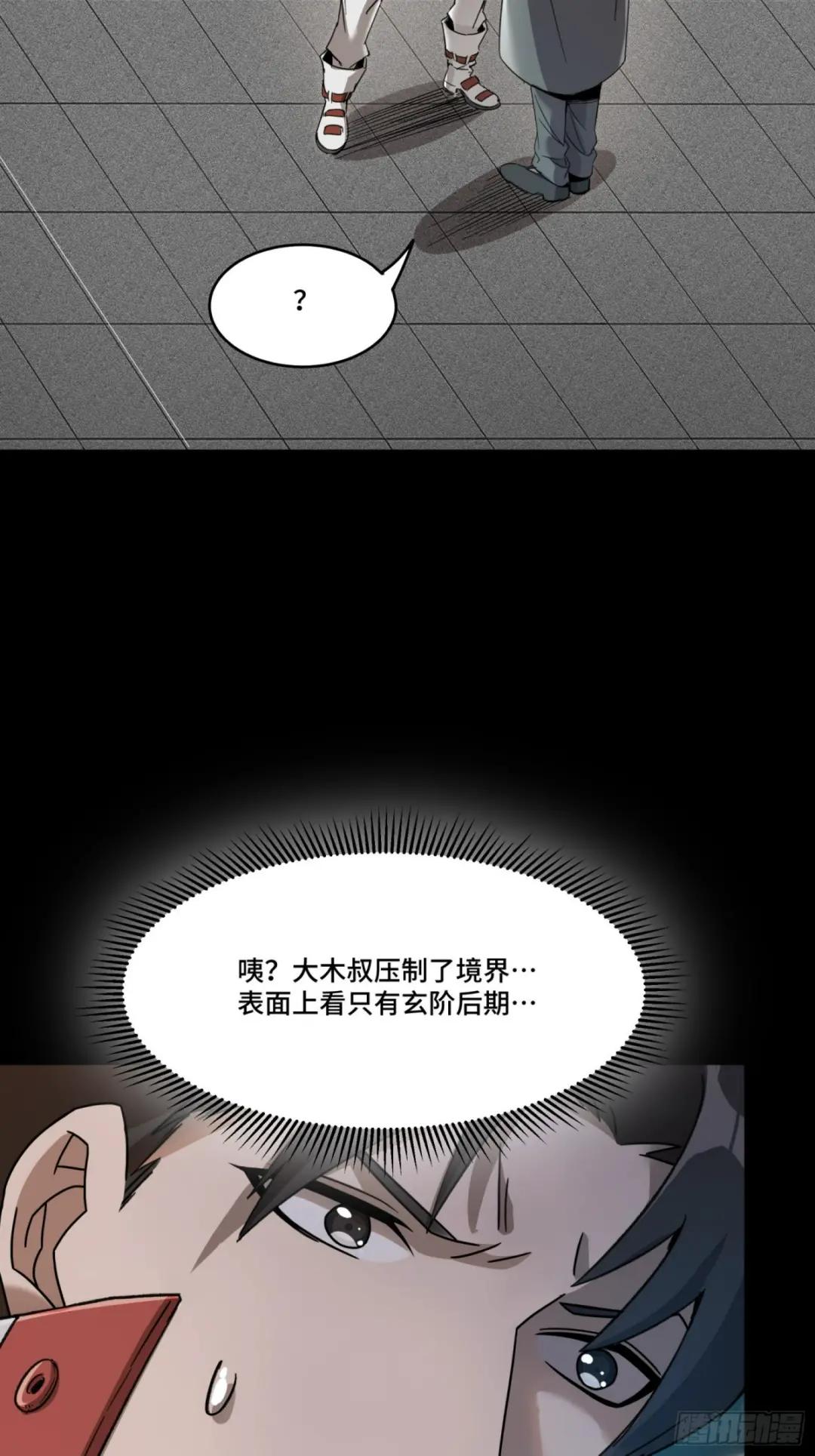 082 又是一个天阶 第13页