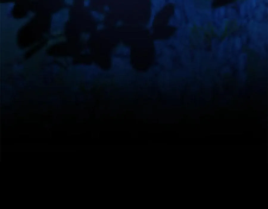 第37话 夺回皇女的心 第74页