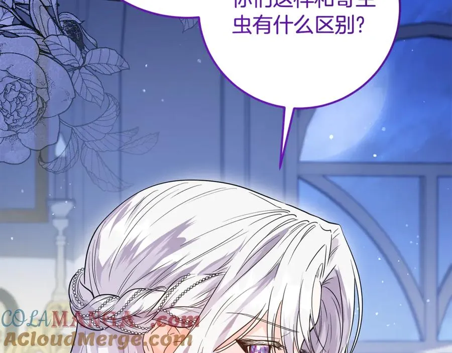 第1话 打了本命耳光？！ 第221页