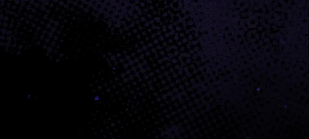 第87话 阴谋曝光 第66页