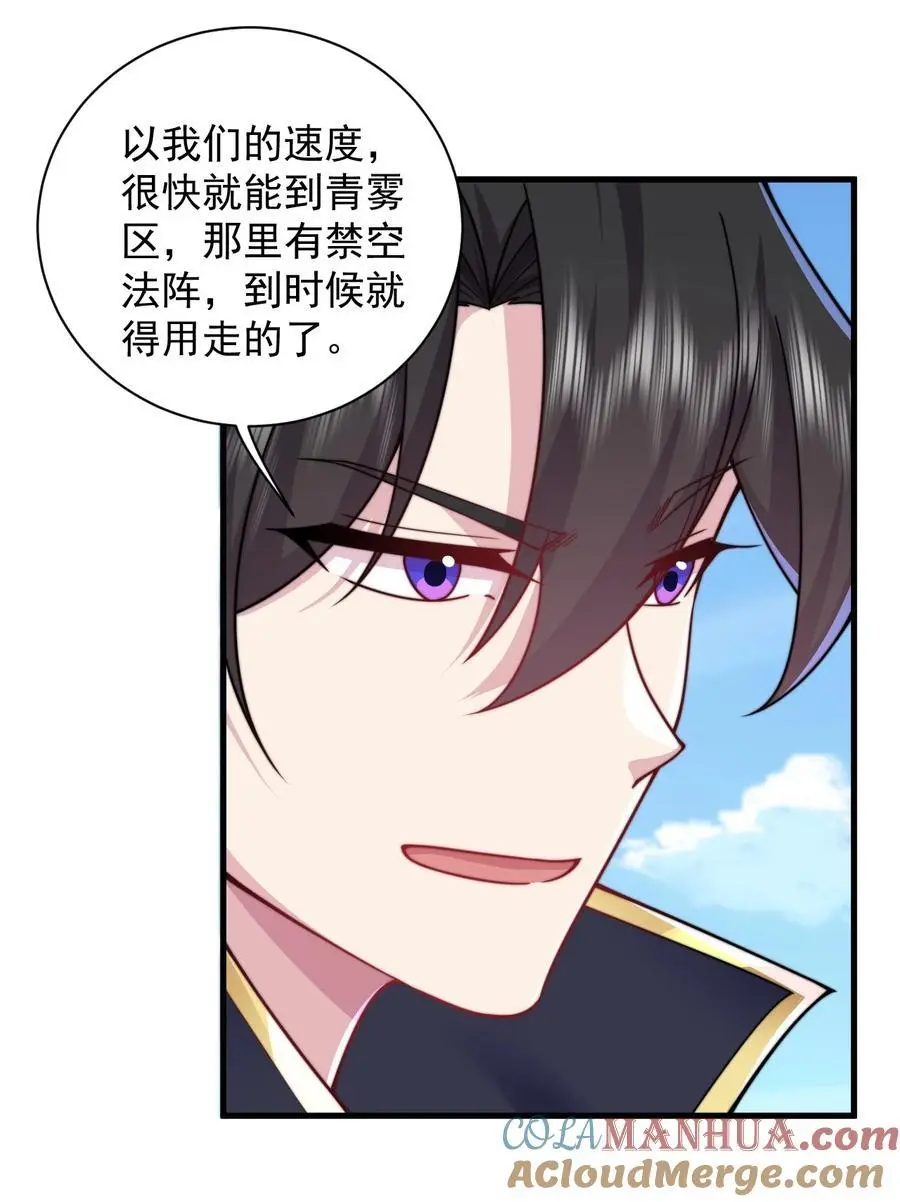 98 青雾区 第31页
