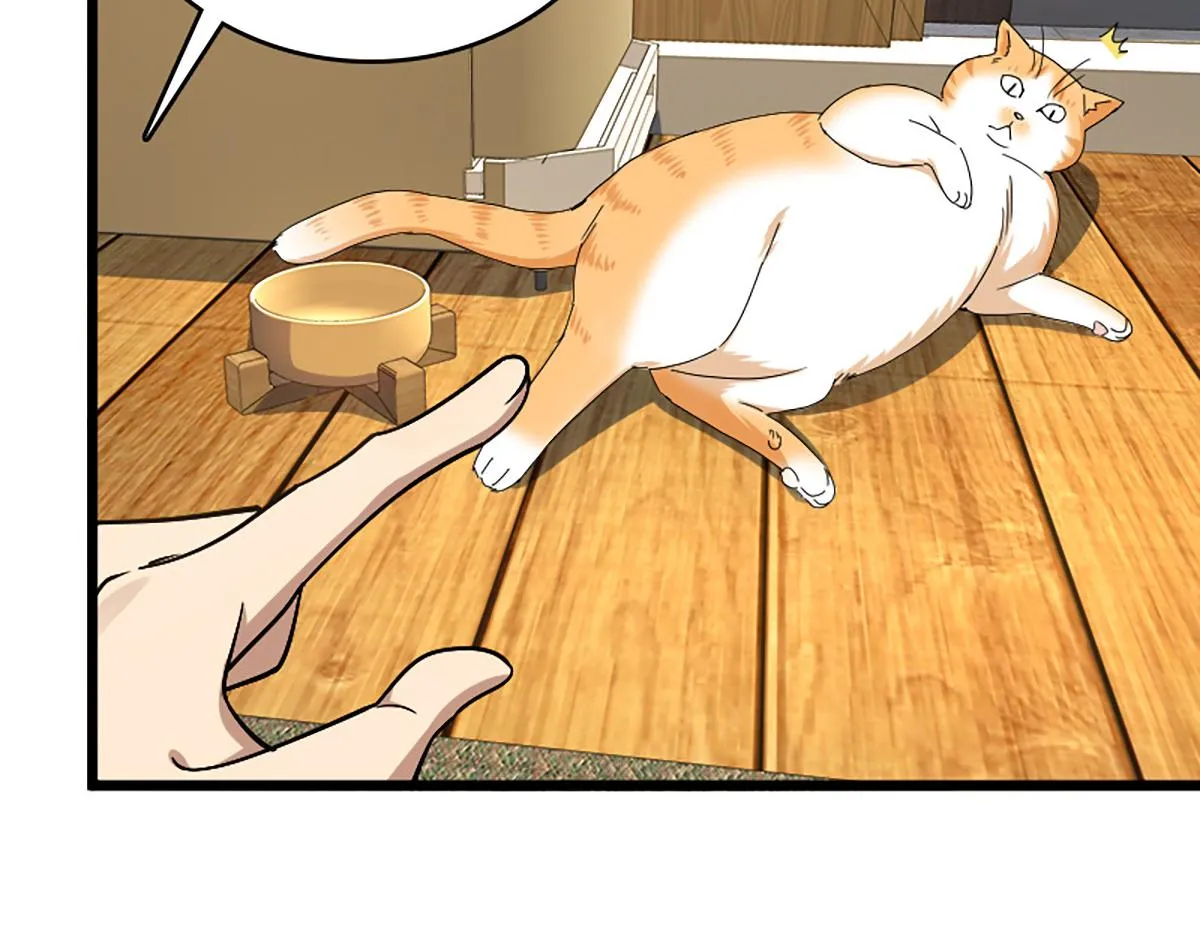 03 第22页