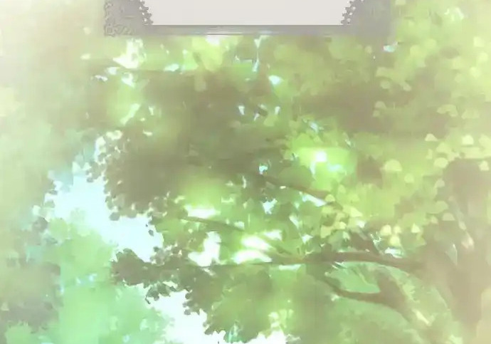 第48话 第3页