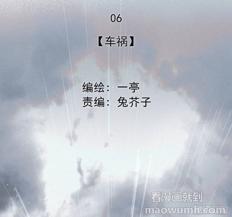 06车祸 第28页