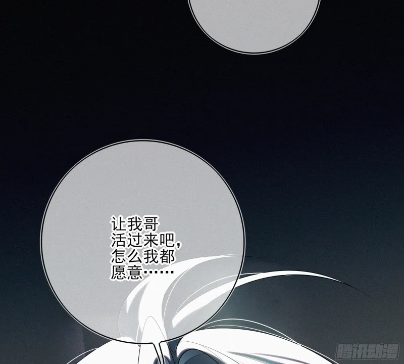 06车祸 第114页