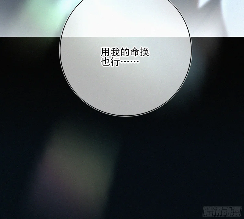 06车祸 第117页