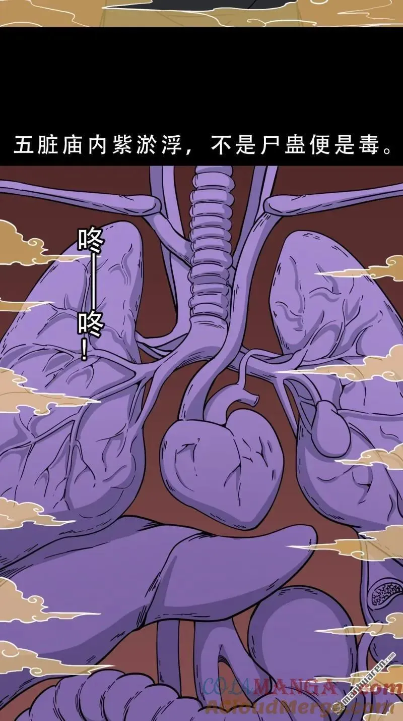 第379回 星死之灰·下 第61页