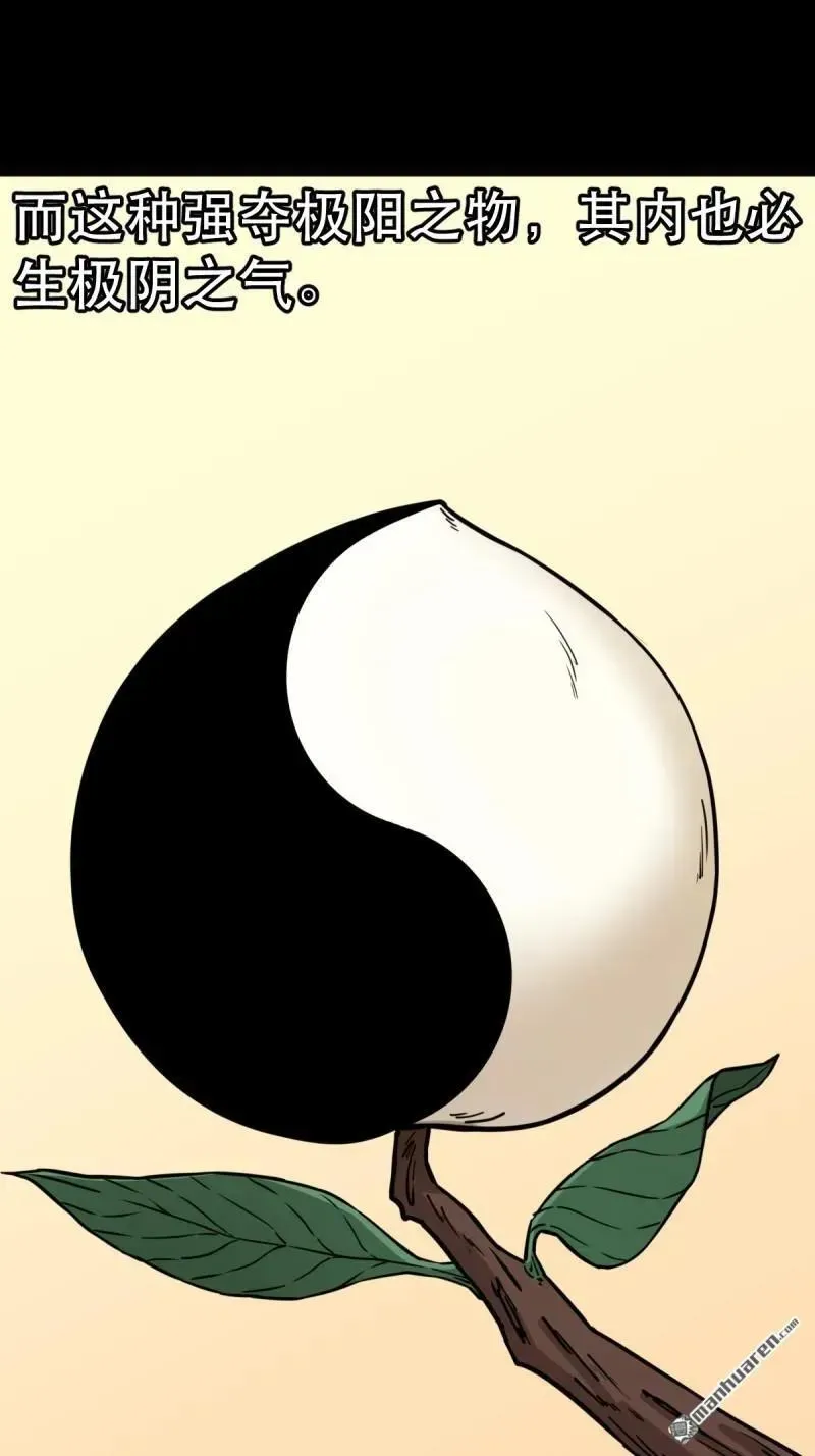 第379回 星死之灰·下 第74页