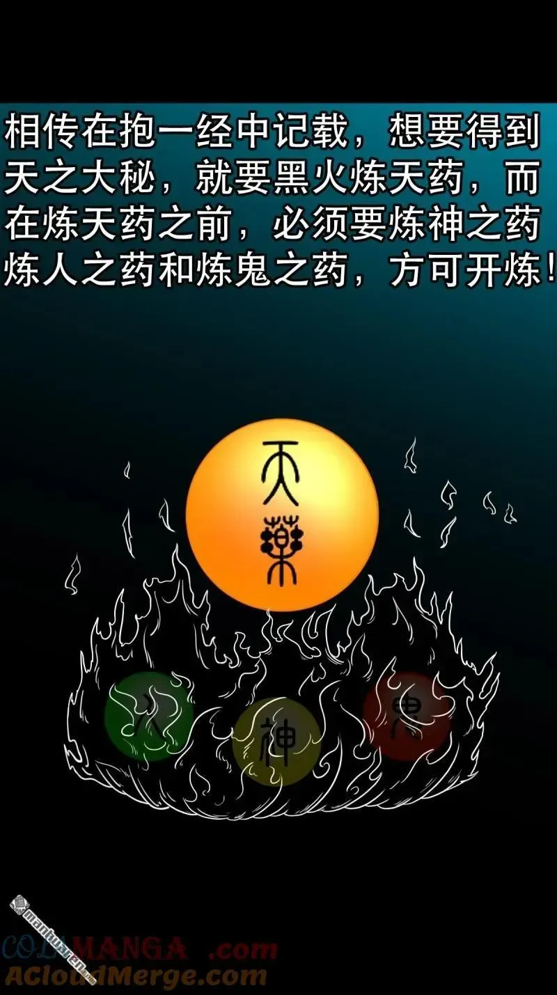 第370回 炼天药 第43页