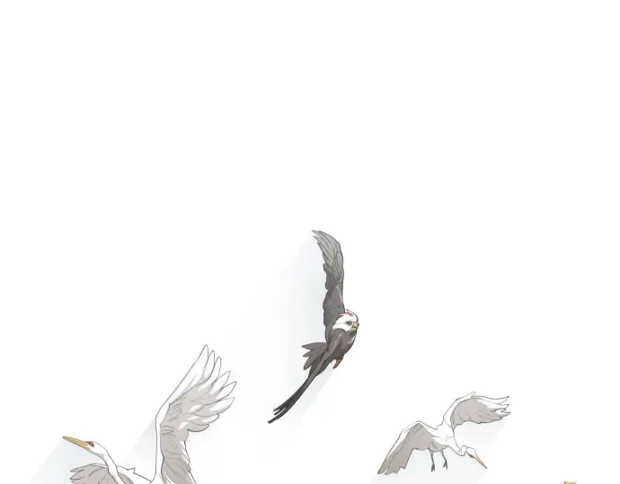第二季 第129话 第39页