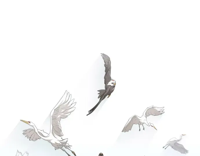 第二季 第144话 第41页