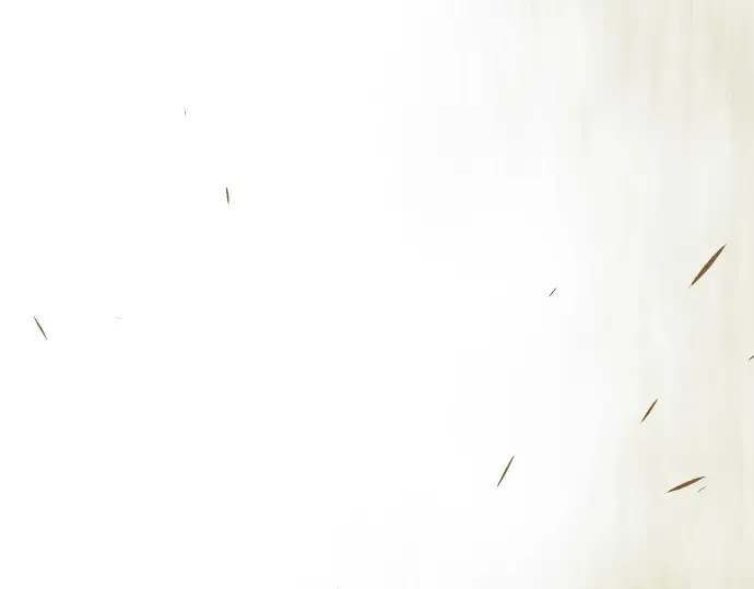 第二季 第124话 第11页