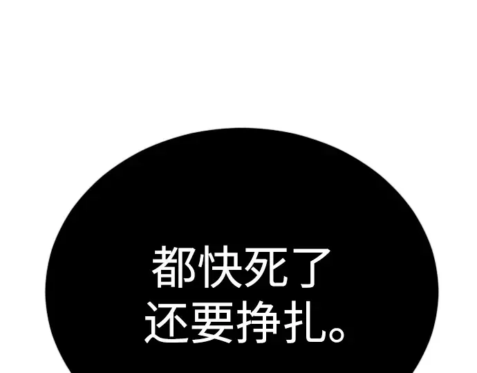 第二季 第117话 第271页
