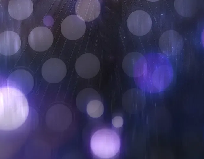 第二季 第121话 第395页