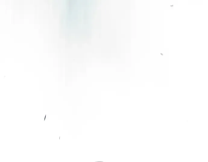 第二季 第104话 第343页