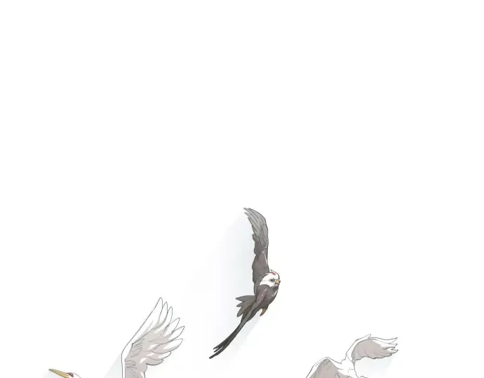 第二季 第126话 第25页