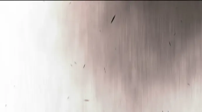 第二季 第139话 第446页