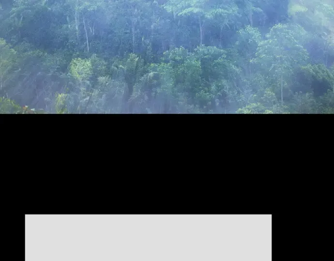 第二季 第108话 第309页