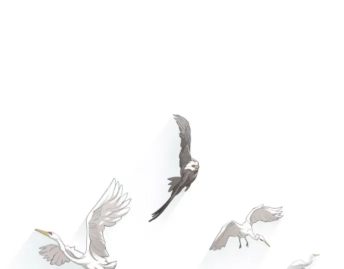 第二季 第130话 第27页