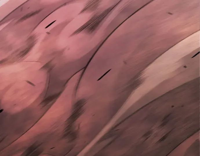 第二季 第147话 第282页