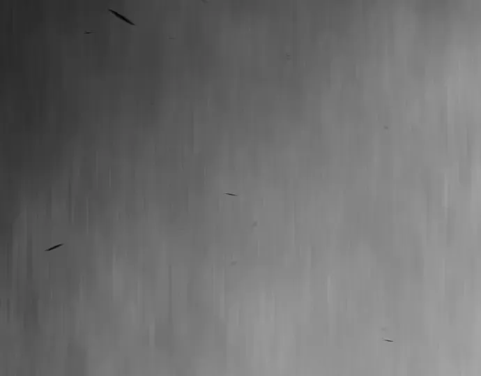第二季 第147话 第343页